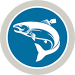 Adult Salmon Release Program icon